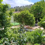 Extérieur 6